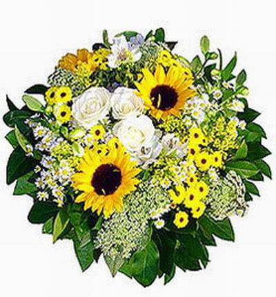 Taipeiflowers Premium flowers for Taiwan