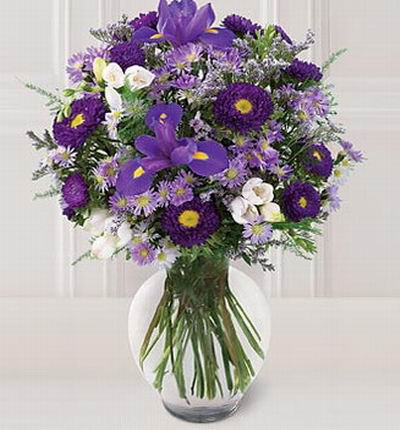 Taipeiflowers Iris for Taiwan