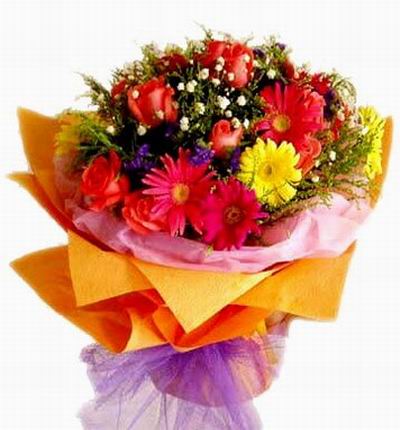Taipeiflowers Daisies for Taiwan