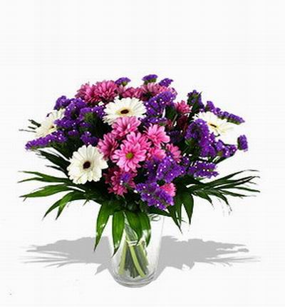 Taipeiflowers Daisies for Taiwan