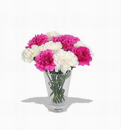 Taipeiflowers Carnations for Taiwan