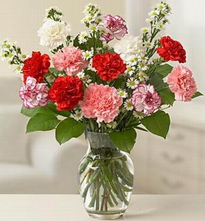 Taipeiflowers Carnations for Taiwan