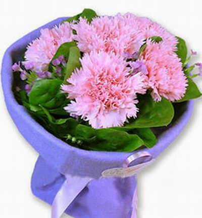 Taipeiflowers Carnations for Taiwan