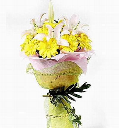 Taipeiflowers Daisies for Taiwan