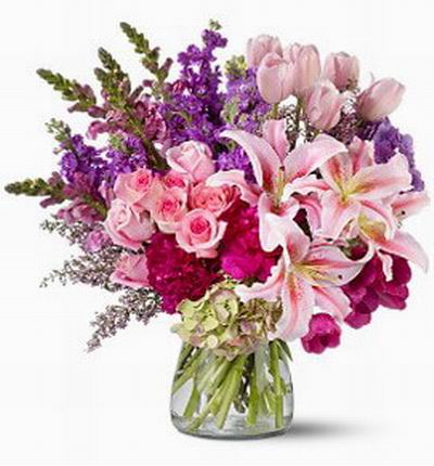 Taipeiflowers Grand Openings for Taiwan