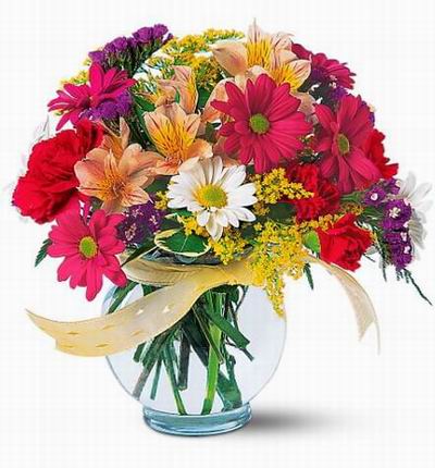 Taipeiflowers Premium flowers for Taiwan