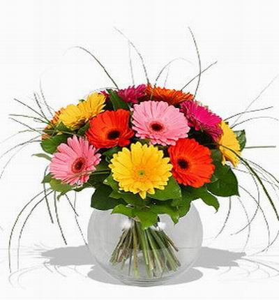 Taipeiflowers Baby new born gifts for Taiwan