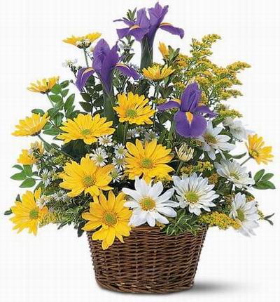 Taipeiflowers Flower baskets for Taiwan