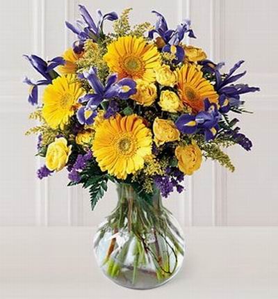 Taipeiflowers Daisies for Taiwan
