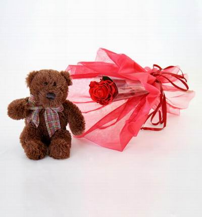 Taipeiflowers Teddy bears for Taiwan