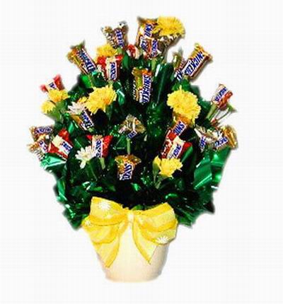 Taipeiflowers Chocolates for Taiwan