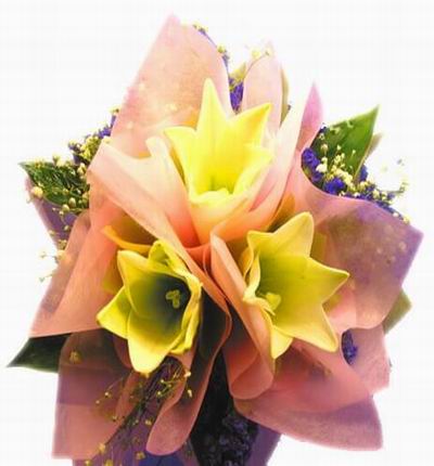 Taipeiflowers Baby new born gifts for Taiwan
