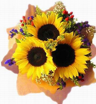 Taipeiflowers Baby new born gifts for Taiwan